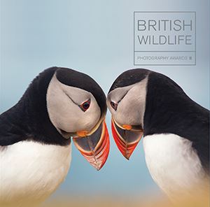 British Wildlife Photography Awards 8